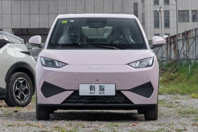 2025款 智驾版 305km 自由版-外观-图片-有驾