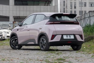 2025款 智驾版 305km 自由版-外观-图片-有驾